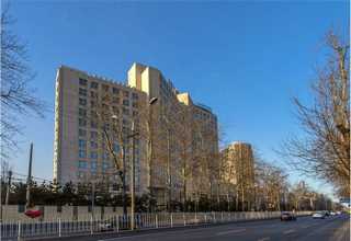 新疆原味蟹黄酱做法步骤