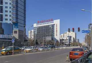 重庆Calu3细胞中乔新舟